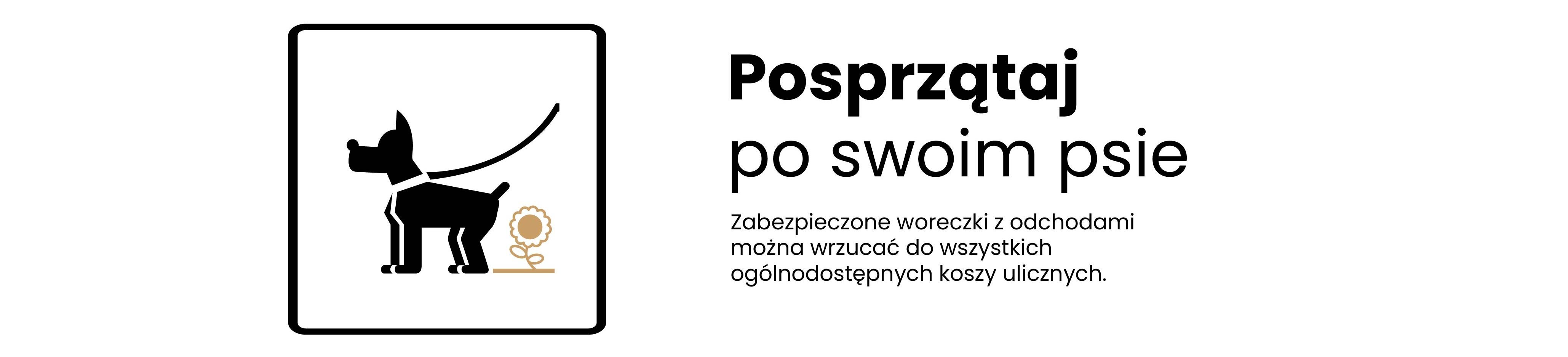 grafika prezntująca tekst